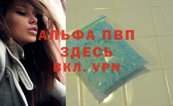 мяу мяу мука Дмитров